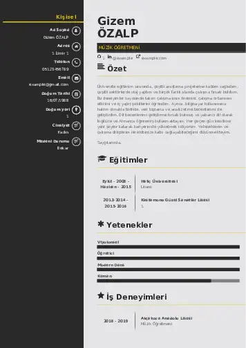 Müzik Öğretmeni Cv Örnekleri cv indir